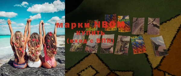 тгк Ельня