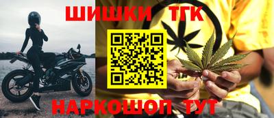 ешки Кингисепп