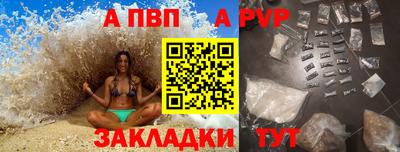 ешки Кингисепп