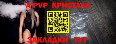 ешки Кингисепп