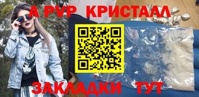 ешки Кингисепп