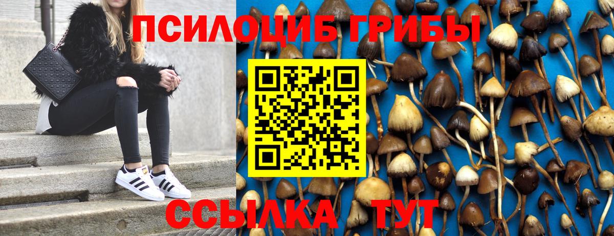 Галлюциногенные грибы GOLDEN TEACHER Среднеуральск