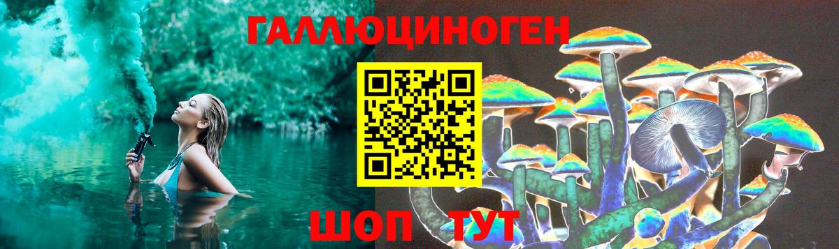 Псилоцибиновые грибы Magic Shrooms  Вход с VPN  закладки  Среднеуральск  Псилоцибиновые грибы Psilocybine cubensis 