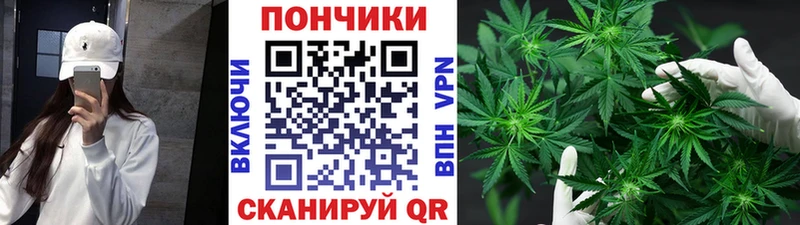 Шишки марихуана планчик  что такое наркотик  Среднеуральск 